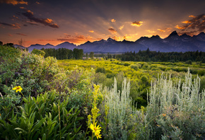 mountain, gree, grass, sky, road, tree, sunlight