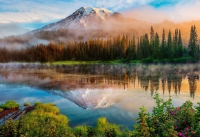 lake, water, tree, grass, sky