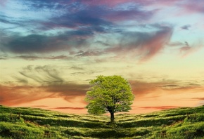 tree, hills, grass, sky