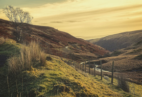 hills, houses, tree, sunlight