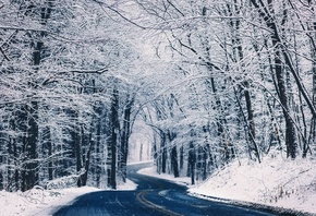 зима, природа, дорога, лес, снег, красиво, 2015