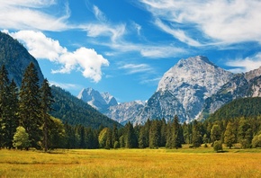 Баварские Альпы, трава, поле, деревья, небо, облака, пейзаж