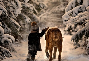 природа, зима, тема, дети, мальчик, ребенок, собака, фото, позитив, друзья, ...