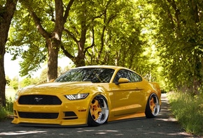 Ford, Mustang, , , , , , , 