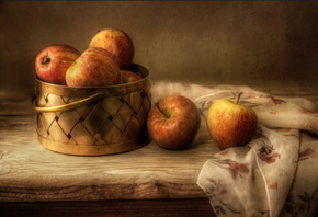 ���������� ���, �������, ���������, ������, �������