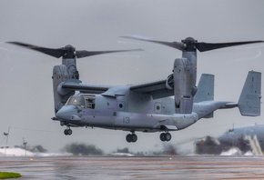 ��������, �����, �������, �������