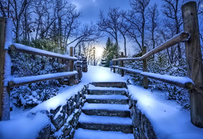 winter, snow, bridge, tree, ice