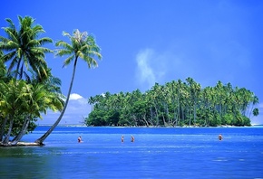 island, ocean, palm, water, sea, blue