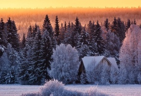 snow, tree, house, cottage, winter