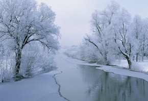 winter, snow, tree, ice, river