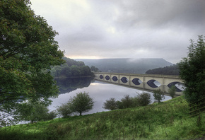 bridge, lake, tree, green, water, sky, forest