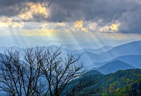 sky, sunlight, mountain, clouds, tree, fields, hills, grass