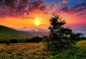 sunset, tree, mountain, grass, sky, clouds, hills