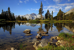 tree, water, lake, mountain, snow, rock