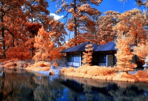 summer, house, tree, leaves, colors, lake, water