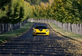 Dodge, Viper, SRT, , , , 