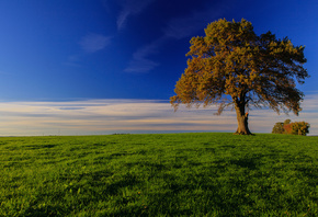 Bavaria, Germany, �������, ��������, ������, ���, �����, ��������