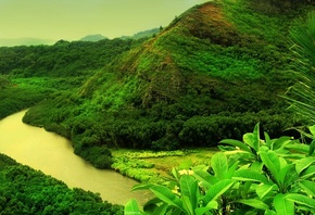 river, mountain, water, forest, green, tree