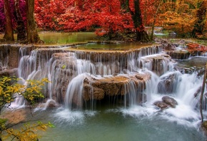 waterfall, river, colors, tree, water, forest, rock
