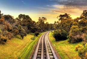 railway, sunset, forest, tree