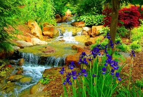 �������, ����, �����, �����, �������, ���� �������