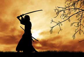 воин, самурай, меч, катана, утро, дерево, ветки, безмятежность, природа