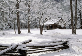 winter, snow, fence, tree, cottage