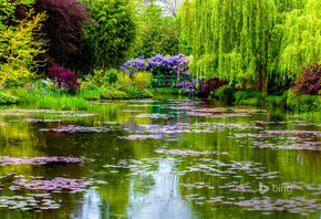 природа, Франция, парк, весна, пруд, красиво, профи фото, bing
