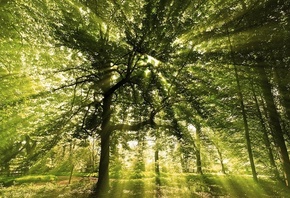 �������, ����, ����, ������, �������