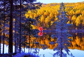 cabin, small, lake, tree, winter, snow