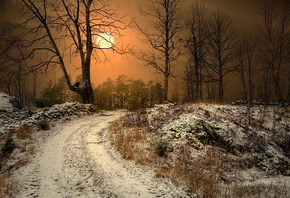 winter, path, sun, tree, sky, snow