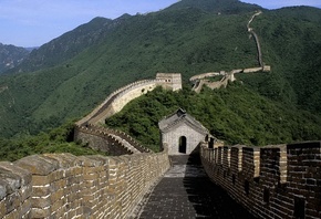 china, great, wall, tree