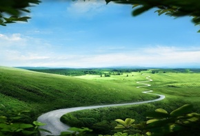 path, green, tree, grass, naturals