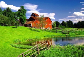 house, grass, tree, green