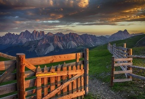 fence, road, tree, path, forest, grass, mountain
