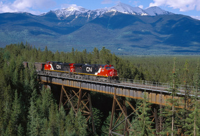 train, raildroad, forest, locomotion
