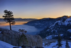 snow, mist, mountain, tree, sky