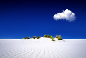 dune, palm, sand, sky