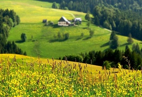 valley, mountain, houses, flower, grass