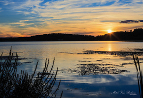 Mitch Van Beekum, , , , 