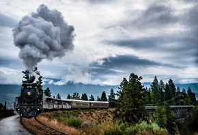 train, smoke, railroad, forest