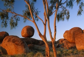 rock, sunset, tree, sky