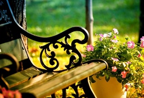 bench, flower, outdoors, patch