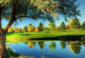 golf, lake, tree, water, fields