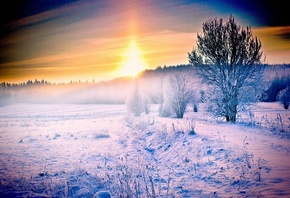 winter, snow, ice, tree, fields