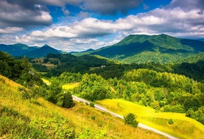 appalache, mountains, road, tree