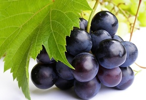  , grapes, , , , 