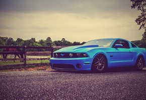 Ford, Mustang, , 