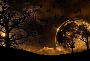 night, moon, tree, sky