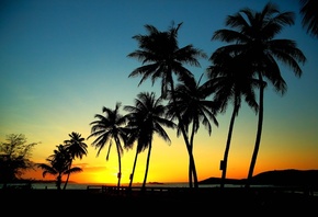 пальмы, лето, закат, красиво, курорт